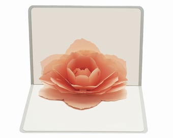 3D pop-up greeting card "Pink Rose"