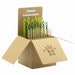 see more listings in the Various Themes section