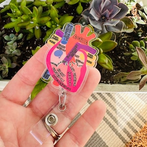 Labeled Anatomical Badge Reel