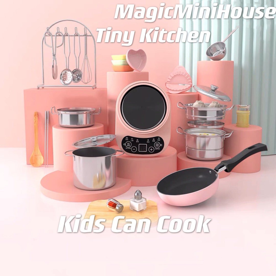 2 Pcs Miniature Pans for real food Tiny Cooking Set Mini Pan Toys Frying  Pan