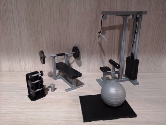 commentaar te binden Intact 1/12 Scale Miniature GYM Fitness Equipment Set Flat Pack - Etsy