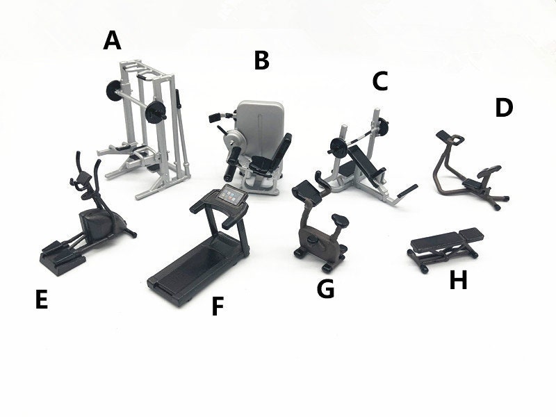 Gym equipment set. Various fitness accessories collection