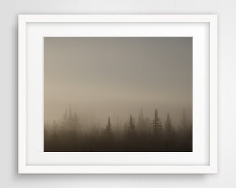 Arctic Forest Poster, Original Printable Nature Photo, Landscape Photography, Downloadable Wall Art, Home Décor, INSTANT DIGITAL DOWNLOAD