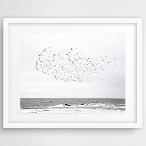 Arktische Vögel Poster, Original druckbare Naturfoto, Landschaftsfotografie, herunterladbare Wandkunst, Wohndekor, SOFORTIGER DIGITALER DOWNLOAD