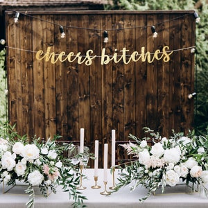 Bachelorette party banner, Cheers bitches banner, bridal shower banner, bachelorette party decorations, bachelorette party sign