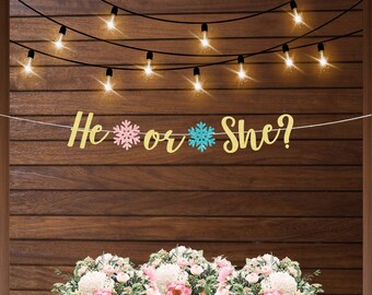 May include: Gold glitter gender reveal banner with the text "He or She?" and pink and blue snowflake decorations. The banner is hanging on a wood background with string lights.
