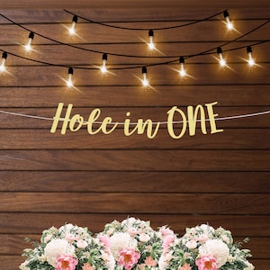 Hole in ONE first birthday decorations, hole in one banner, golf theme birthday party decorations, golf 1st birthday, golf birthday