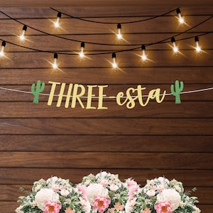 Three esta party decor, third birthday fiesta theme party, cactus themed birthday, fiesta decorations, birthday fiesta part, three years old