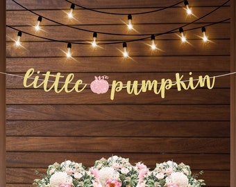 Baby shower decorations, little pumpkin banner, baby shower banner, baby sprinkle, pink pumpkin decor, gold baby shower, baby girl shower