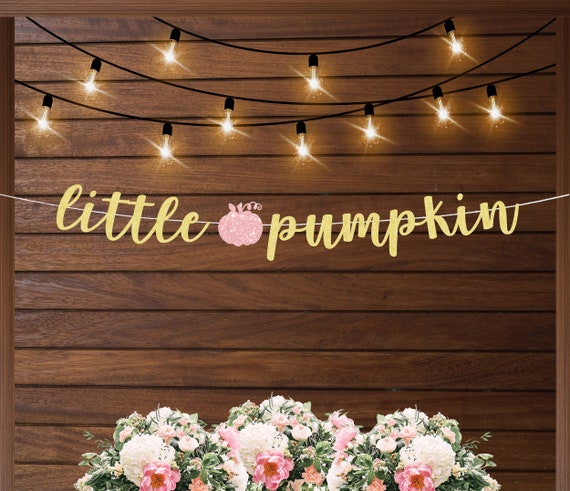 Baby Shower Decorations, Little Pumpkin Banner, Baby Shower Banner, Baby  Sprinkle, Pink Pumpkin Decor, Gold Baby Shower, Baby Girl Shower 