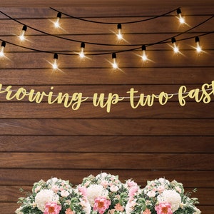 Growing up two fast banner, 2nd birthday decorations, second birthday, racing car birthday party, racecar party decor, race car themed decor