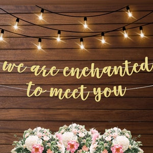 Estamos encantados de conocerte decoraciones de baby shower, decoraciones de revelación de género, tema de baby shower de bosque encantado, temática de mariposas