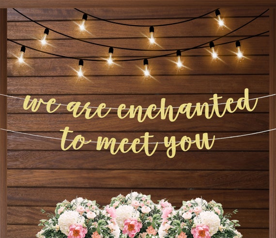 We are enchanted to meet you baby shower decorations, gender reveal decorations, enchanted forest baby shower theme, butterfly themed