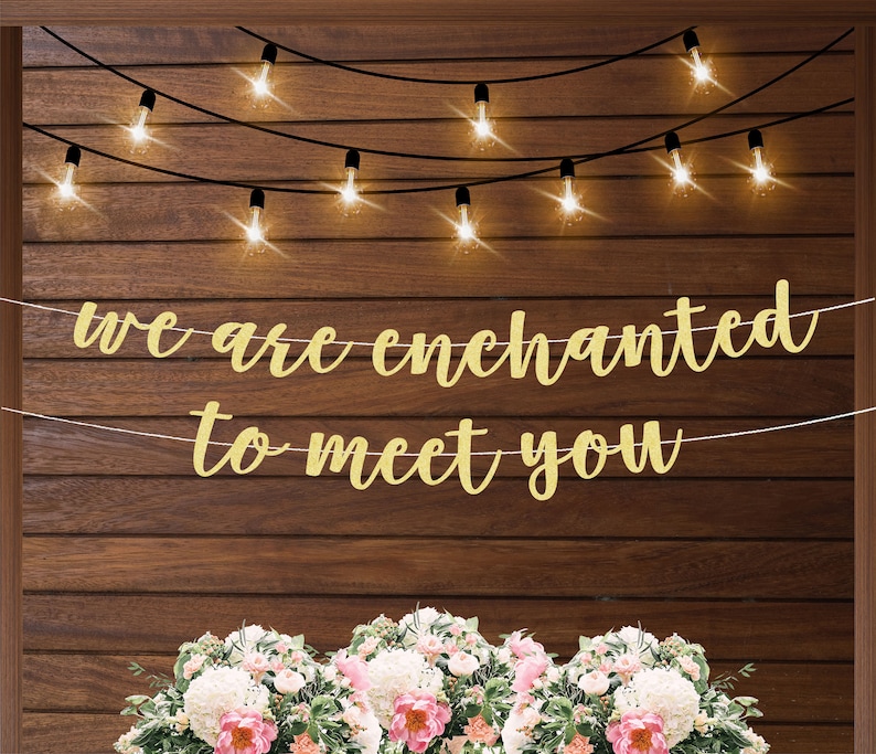 Puede incluir: Una pancarta dorada con purpurina con las palabras "we are enchanted to meet you" cuelga sobre un fondo de madera. Luces de cadena est&aacute;n colgadas encima de la pancarta. Un arreglo floral con flores blancas y rosas est&aacute; en la parte inferior.