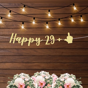 Happy 29 plus 1 birthday banner, twenty nine plus one funny banner, middle finger banner, 30th birthday banner, dirty thirty party decor