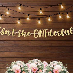 Isn't she ONEderful banner, onederful birthday theme, 1st birthday party decorations for girls, first birthday decor, modern birthday decor