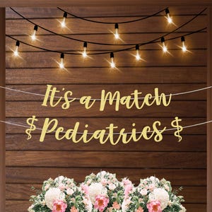 Pu&ograve; includere: Striscione dorato con glitter con il testo "It's a Match" e "Pediatrics" con simboli del dollaro su entrambi i lati. Lo striscione &egrave; appeso su uno sfondo di legno con luci a catena.