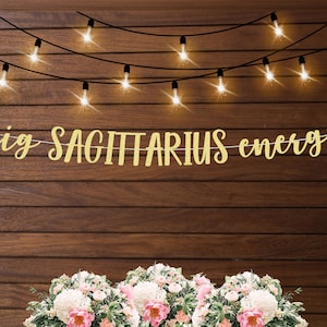 Big Sagittarius energy banner, december birthday banner, sagittarius birthday party, zodiac birthday banner, millennial birthday, adult