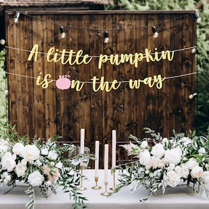 A little pumpkin is on the way banner, fall baby shower decorations, little pumpkin banner, pumpkin baby shower banner girl baby shower pink