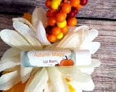 Lemon Lip Balm Vanilla Lip balm Ginger Lip Balm Fall Gift Lip Balm Lip Moisturizer Gift Fall Party Favor Autumn Scented Lip