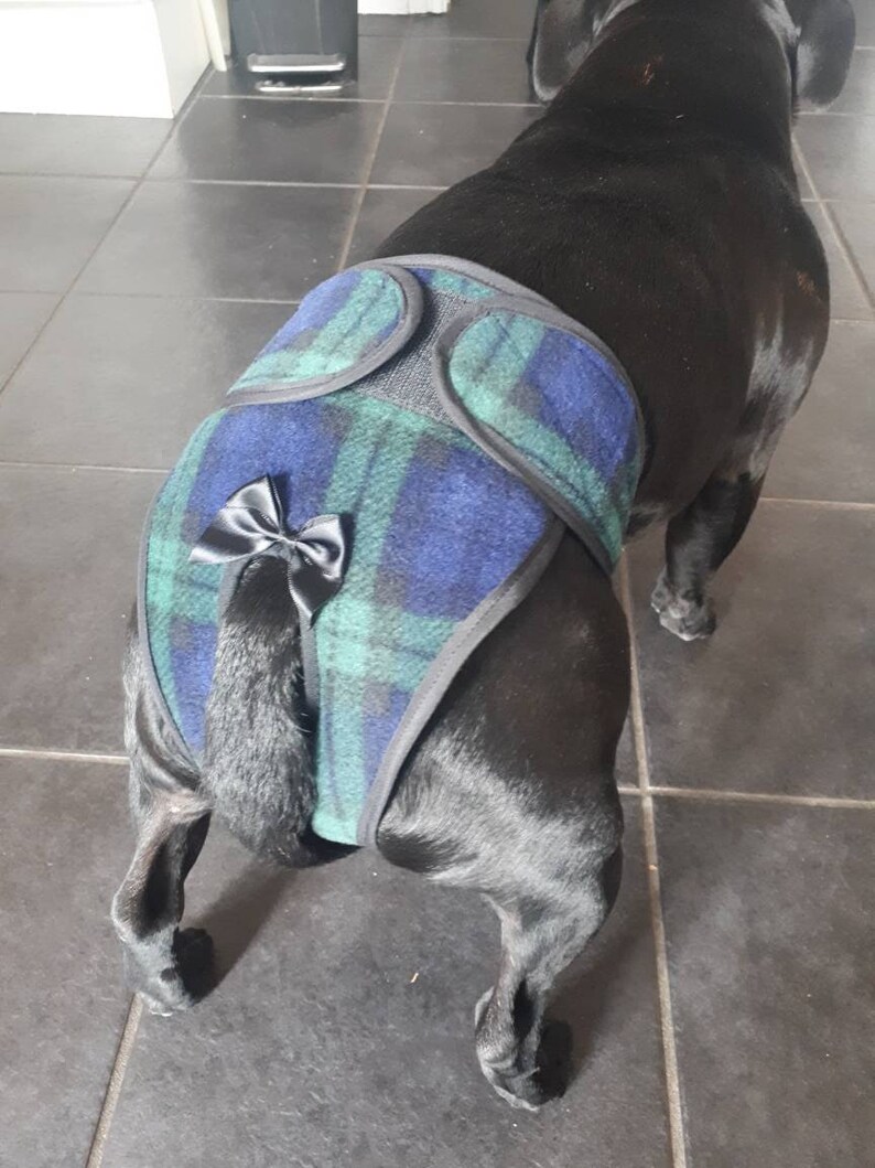 Dog Hygiene Knickers / Dog Season Pants Handmade by Me MADE Etsy UK