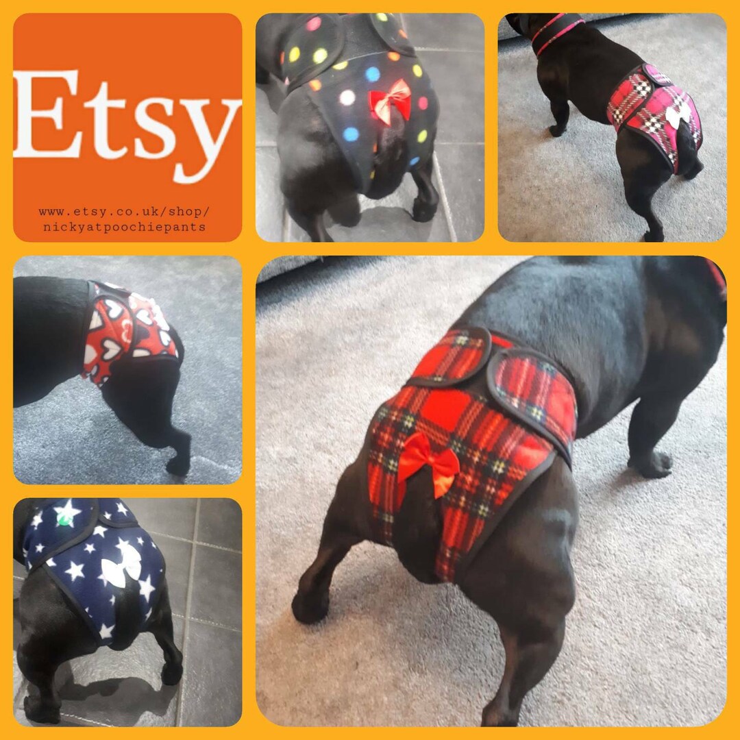 Dog Hygiene Knickers / Dog Season Pants Handmade by Me! MADE TO ORDER ...