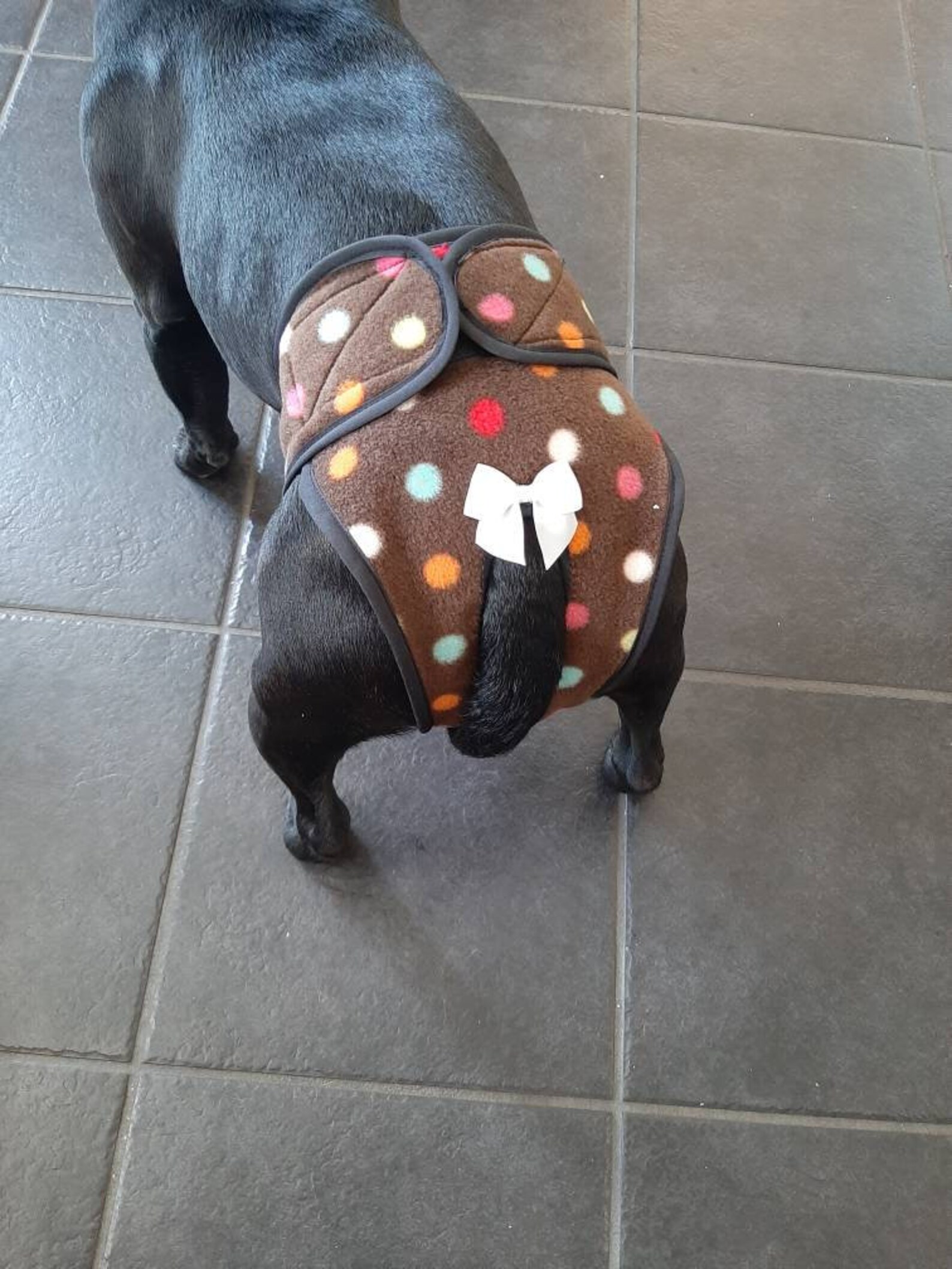 Handmade Bitch Hygiene Knickers / Dog Season Pants / Dog Etsy UK