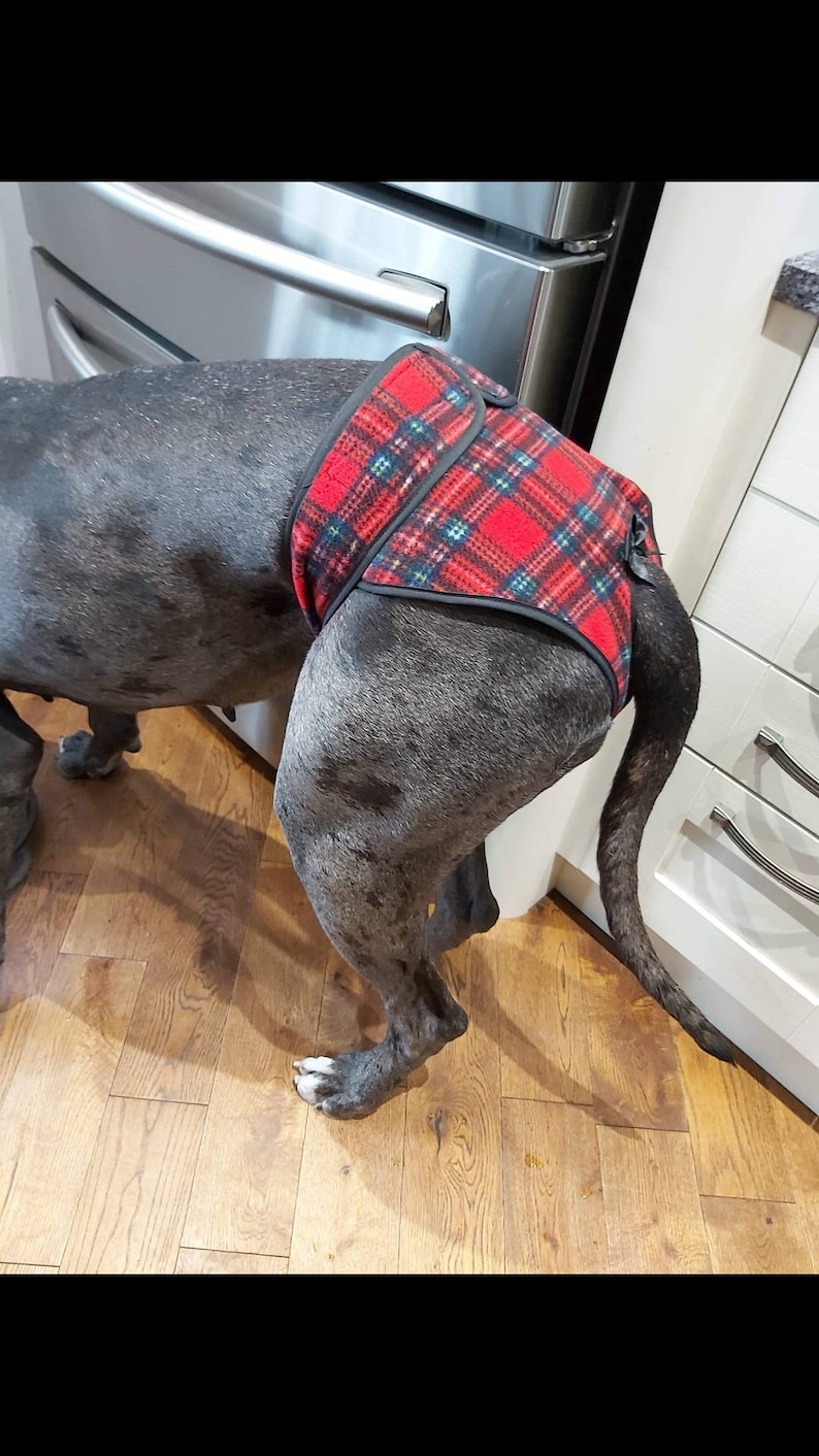 Dog Hygiene Knickers / Dog Season Pants Handmade by Me MADE Etsy UK