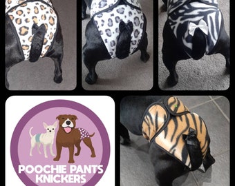 doggy knickers
