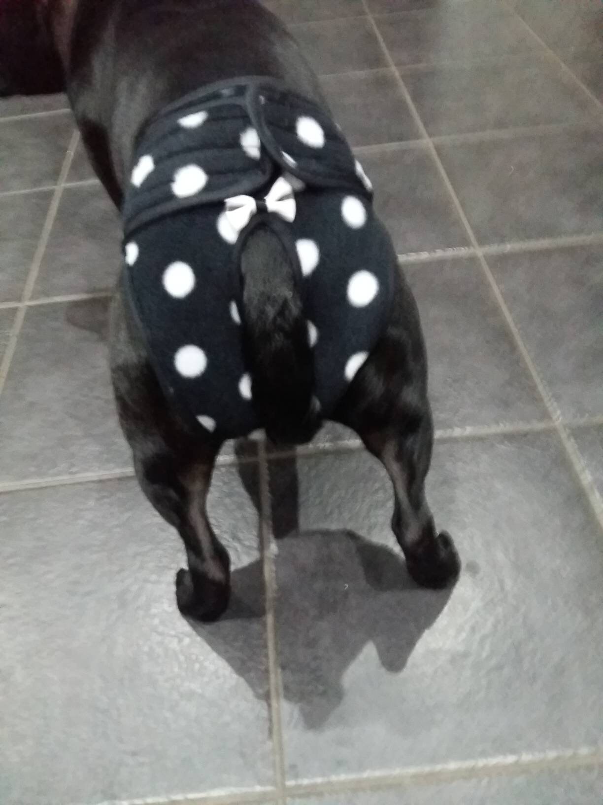 Handmade bitch hygiene knickers / dog season pants / dog Etsy