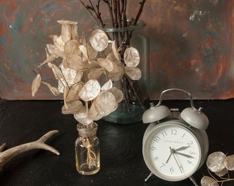 Money Bouquet Etsy - 