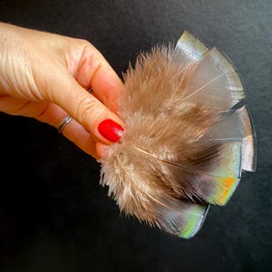 Bronze Wild Turkey Feathers: Dreamcatcher Supplies, Magic Rituals