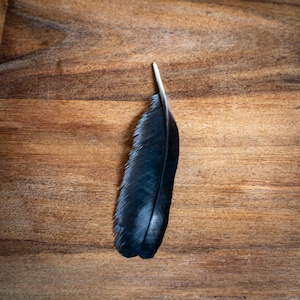 Black Crow Wing Feather (16cm): Arts, Crafts, Magic