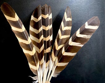 Pluma de ala de pavo pintada a mano: Pluma con efecto de manchas en zigzag (47-49 cm)
