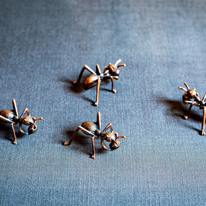 May include: Four bronze-colored ant figurines are arranged on a textured, dark blue surface. The ants have detailed legs, antennae, and body segments, suggesting a focus on insect-themed decor or collectibles.