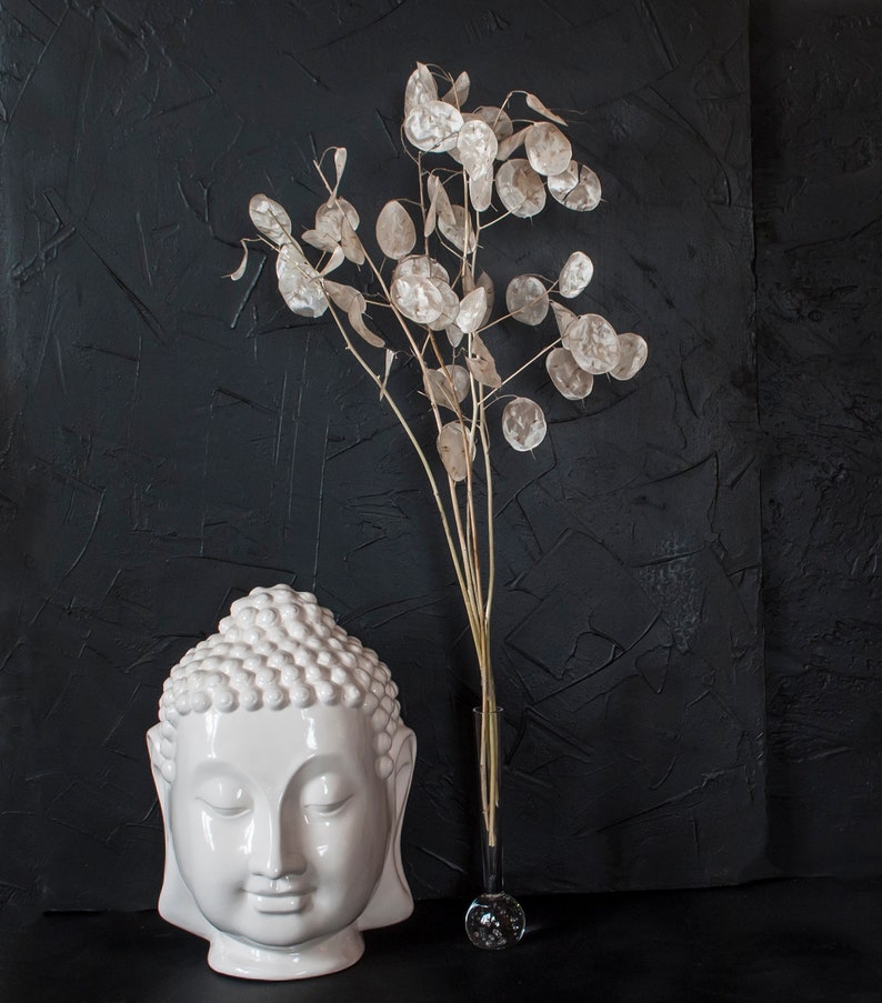 Natural Pearl Lunaria stems 17,8-19,8 B-25 Silver dollar leaves Dried Money plant Winter wedding decor Autumn Winter centerpiece