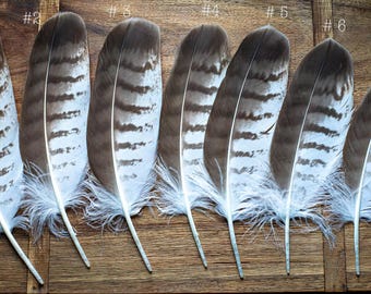 Pluma de ala rara para atrapasueños, artes, rituales mágicos 23-26 cm