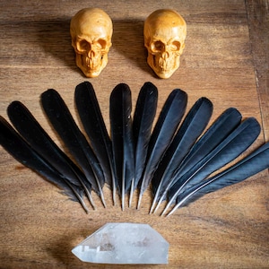 Puede incluir: Dos pequeñas figuras de calaveras de color beige están colocadas encima de un abanico de plumas negras. Debajo de las plumas hay un cristal transparente facetado. Los objetos están dispuestos sobre una superficie de madera, creando una estética mística o gótica.
