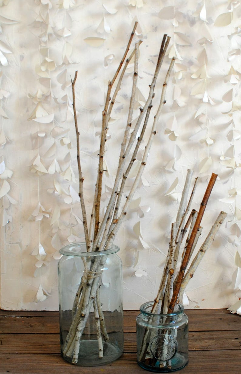 Natural Birch Wood Sticks For Craft Easter Decor Spring Decor Etsy