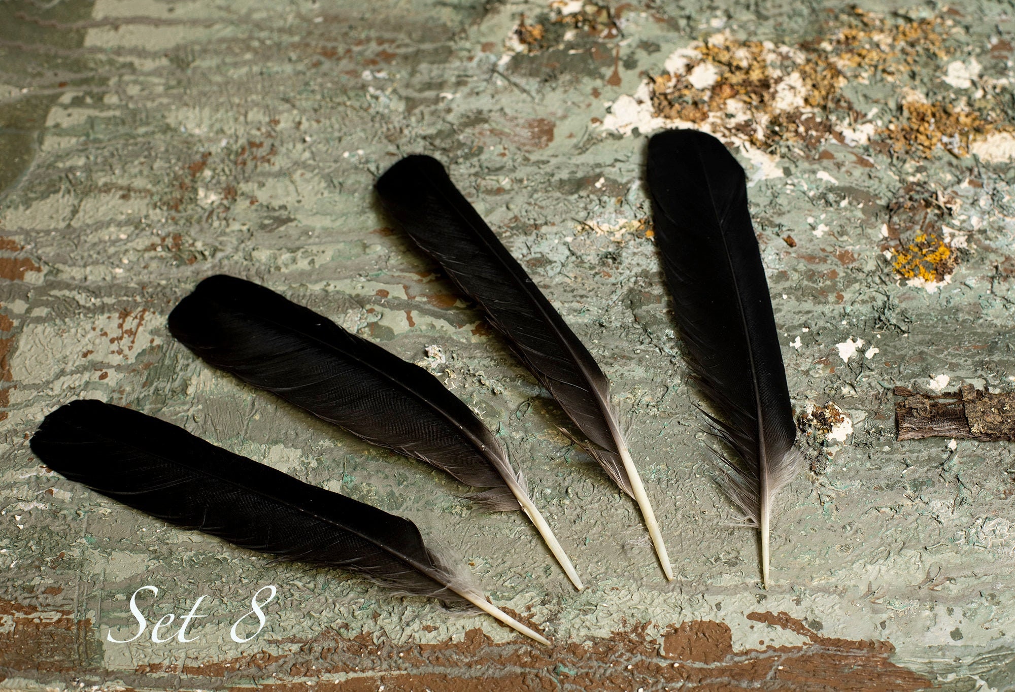 4 Raven wings feathers for Dreamcatchers Feathers Arts and Etsy