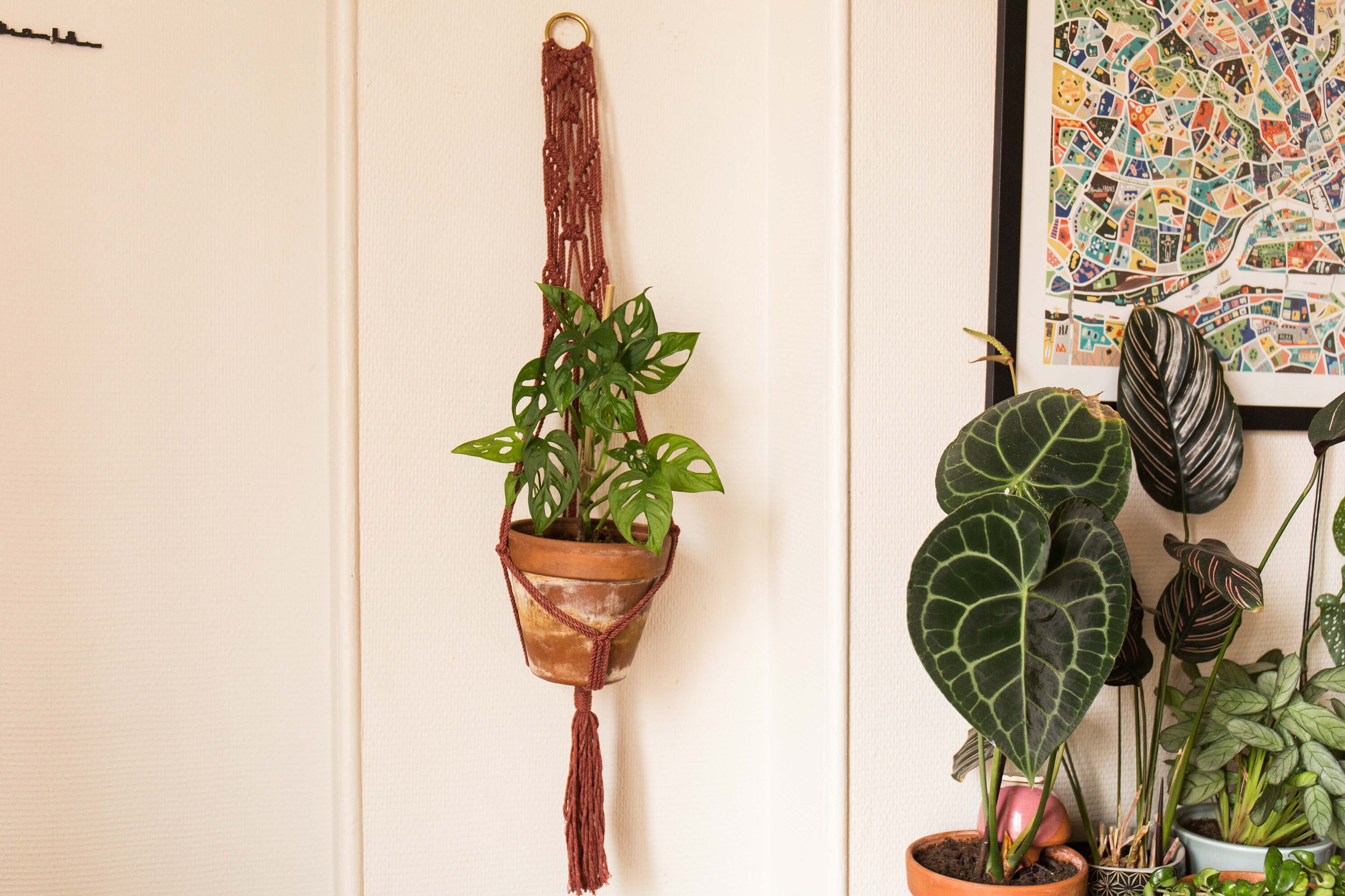 Suspension Pour Plante en Macrame Couleur Terracotta avec Anneau Doré