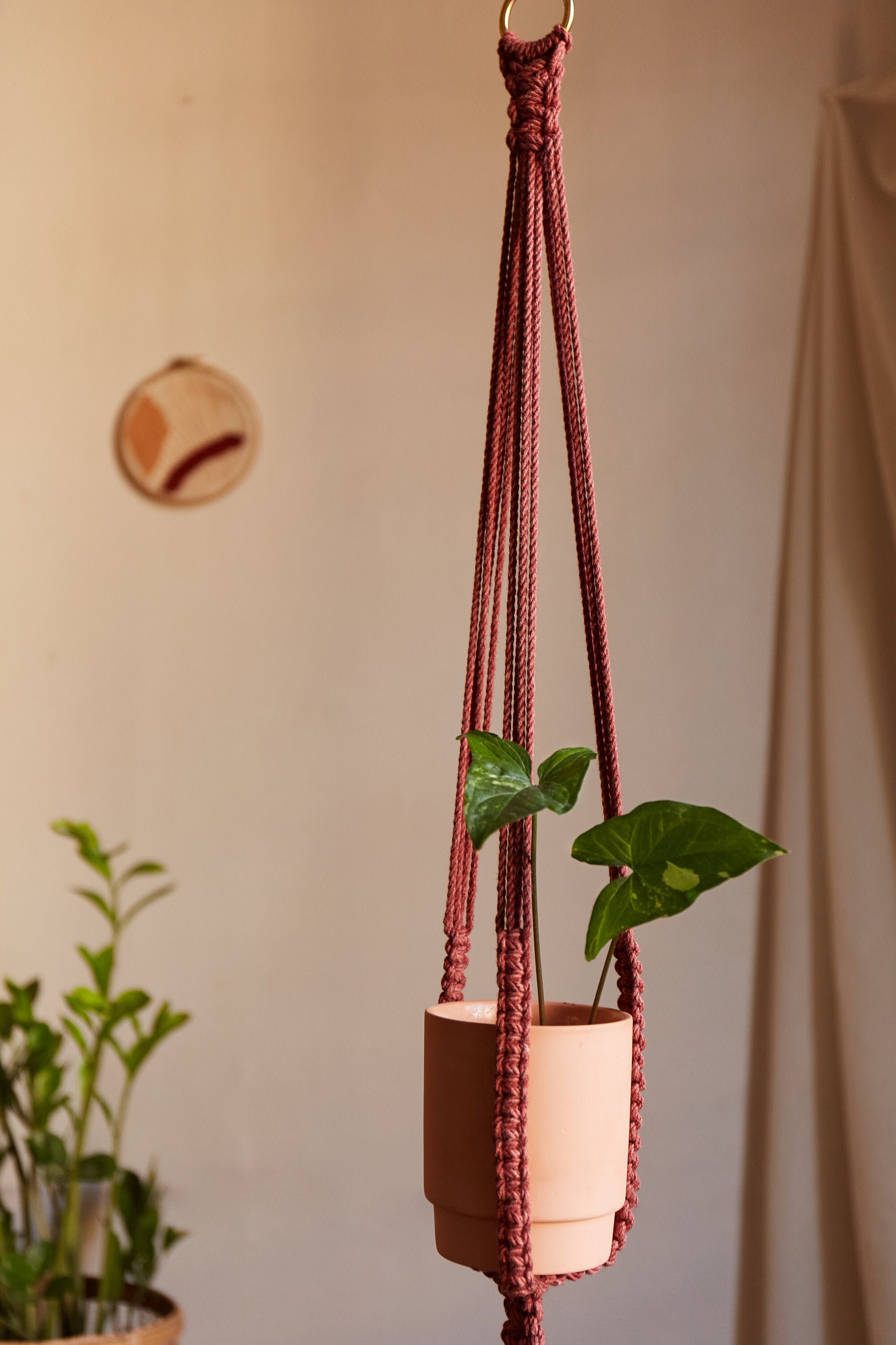 Suspension en Macramé Pour Plante