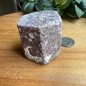 May include: A rough-cut, rectangular ruby gemstone with a textured surface. The stone is a deep reddish-purple color with lighter, white patches. A US quarter coin is next to the stone for size comparison. The background includes green leafy plants and a wooden surface.