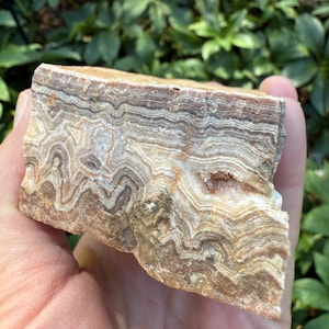 Rare Lace Agate, Summerville Agate, Lace Agate Rough, Lace Agate Druzy