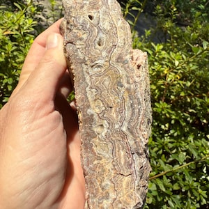 Summerville Crazy Lace Agate Specimen: Raw Druzy Stone, 2.1 lbs