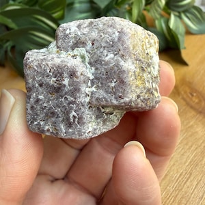 Rare Ruby Record Keeper with Black Tourmaline, Double Ruby