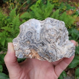 Raw Lace Agate Specimen: Summerville GA, Collector&#39;s Stone