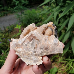 Rare Lace Agate, Summerville Agate, Lace Agate Rough, Lace Agate Druzy