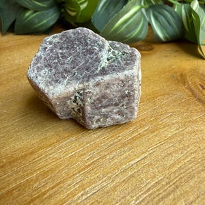 Rare Ruby Record Keeper with Black Tourmaline, Double Ruby