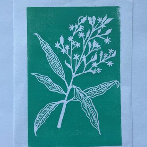 Blockprint, Green Mango Tree Leaves image 5